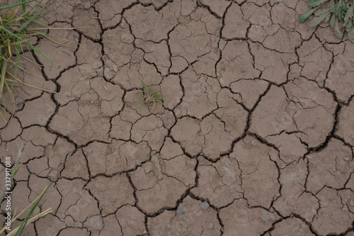 Tierra seca y agrietada