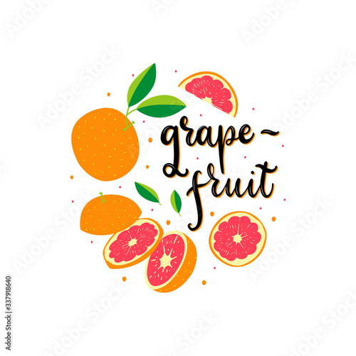 Grapefruit fresh vector flat illustration with lettering