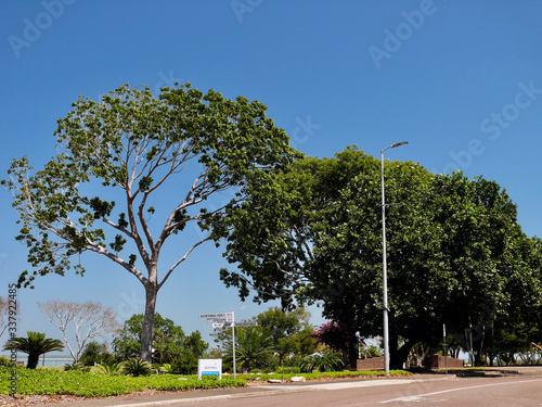 A view of Bicentennial Park in Darwin, Australia