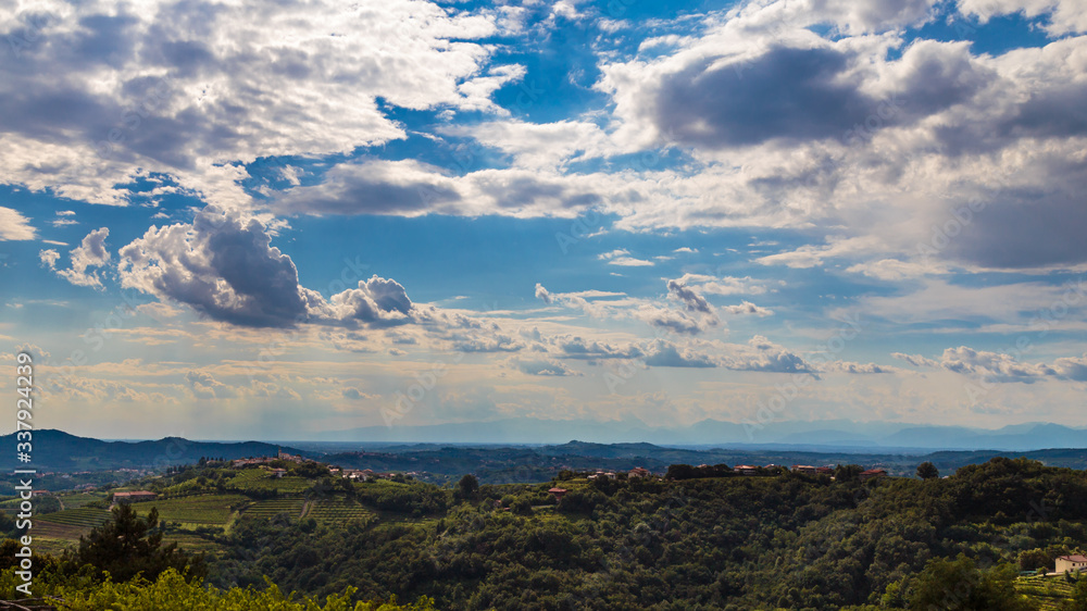 The beautiful vineyard of Collio, Friuli Venezia-Giulia, Italy