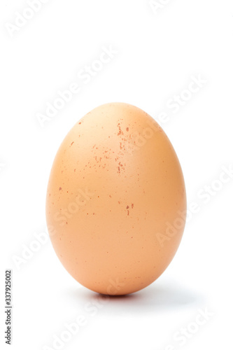 fresh chicken egg on a white background