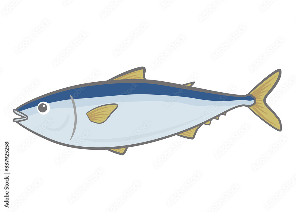 魚のイラスト 魚のイラスト