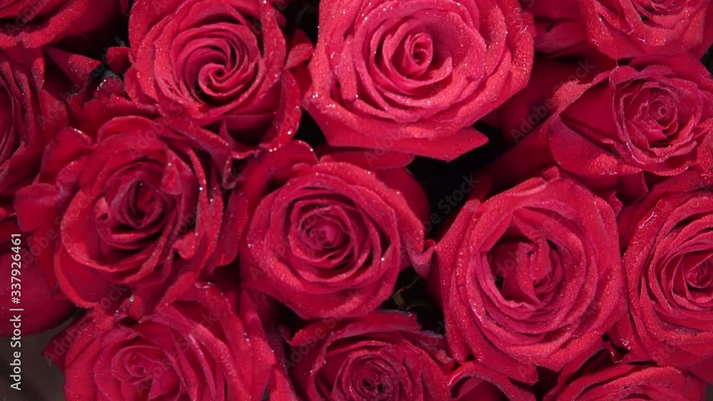 Bouquet of red roses loop 4K Bouquet of red roses loop 4K
