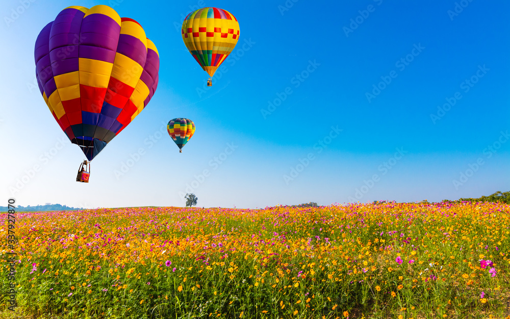Naklejka premium Beautiful colors of the hot air balloons flying on the cosmos flower field