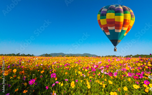 Fototapet Beautiful colors of the hot air balloons flying on the cosmos flower field