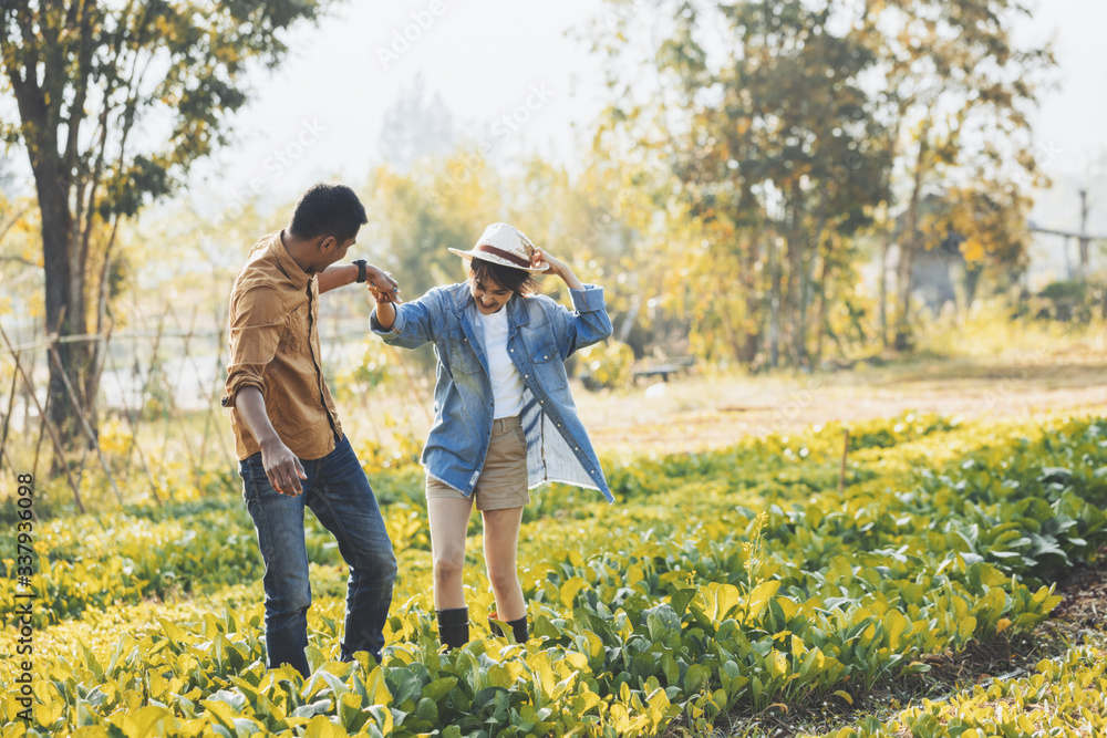 farmer holding a crate of bio vegetables in the farm. Happy man showing box of harvested vegetables at morning