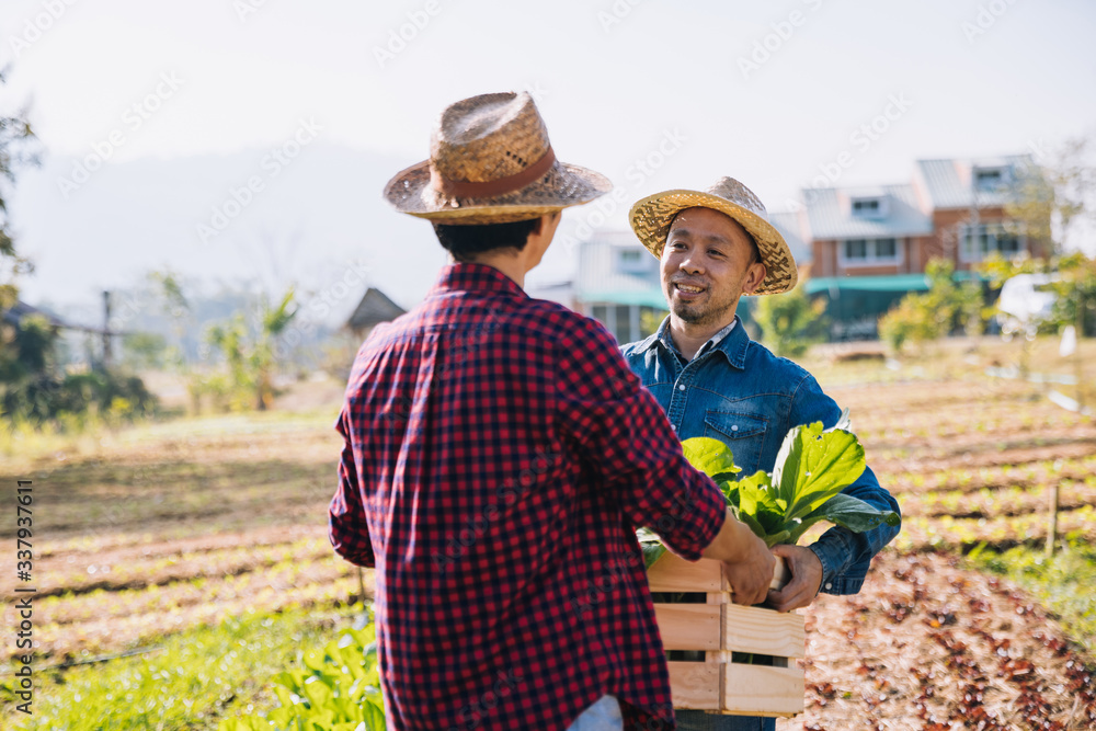 farmer holding a crate of bio vegetables in the farm. Happy man showing ...