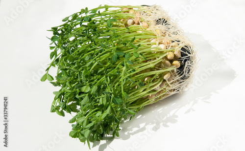 sprouted grains of peas with roots, green stems of microgreen on a white background photo