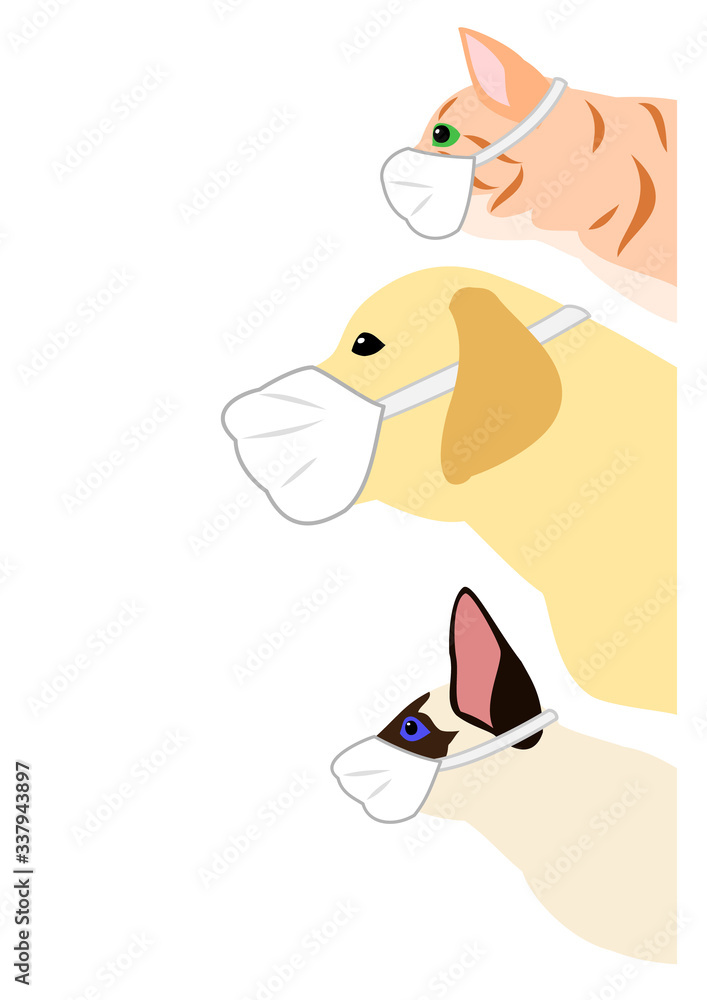 cats and dogs with medical mask cats and dogs with medical mask