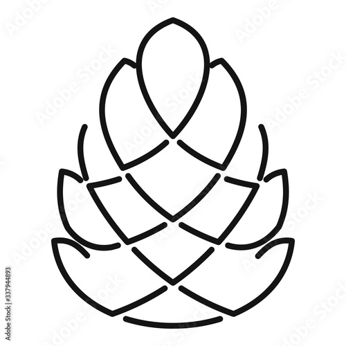 Conifer pine cone icon. Outline conifer pine cone vector icon for web design isolated on white background photo