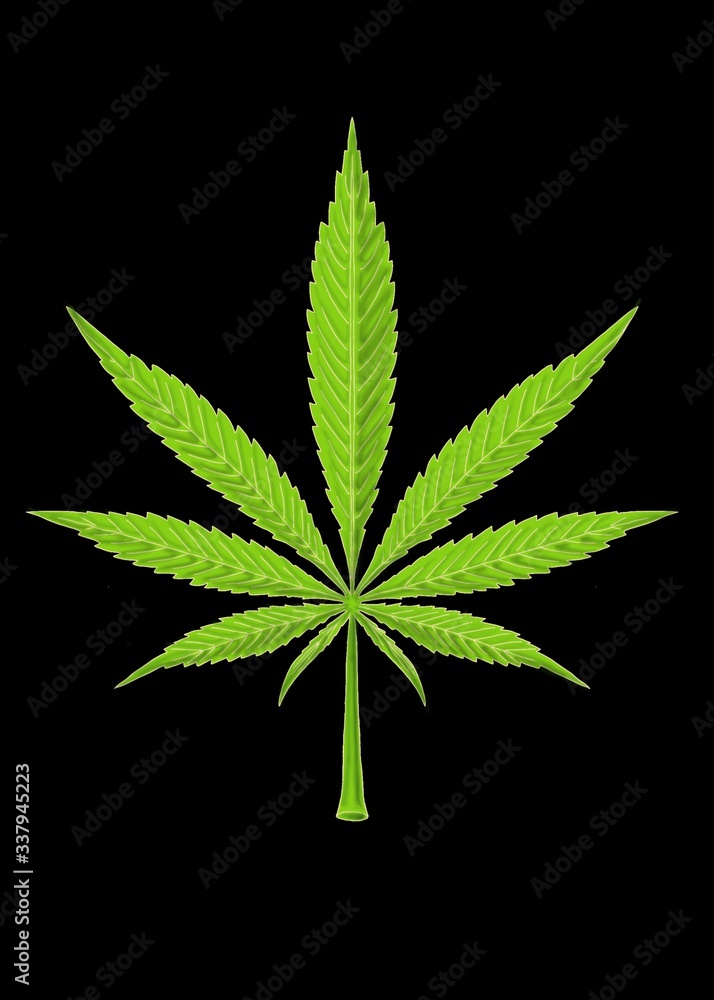 cannabis leaf vector illustration cannabis leaf vector illustration