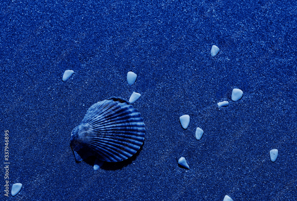 shell in the sand on a beautiful sea beach. toned in modern trendy ...