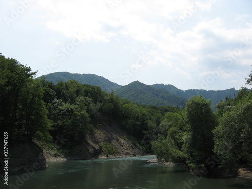 river in the forest