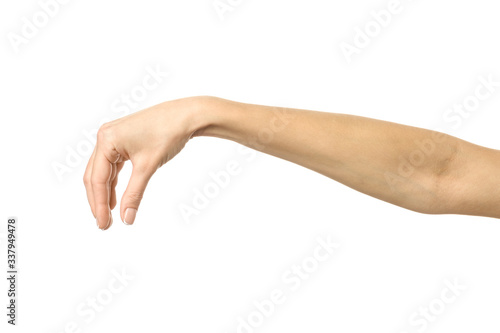 Hand picking, holding, grabbing or reaching. Woman hand gesturing isolated on white © Iurii