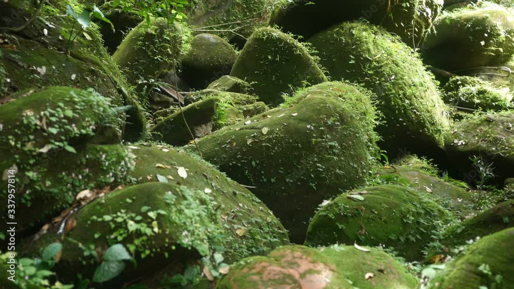 Stream in the tropical forest . Cascade falls over mossy rocks Stream in the tropical forest . Cascade falls over mossy rocks