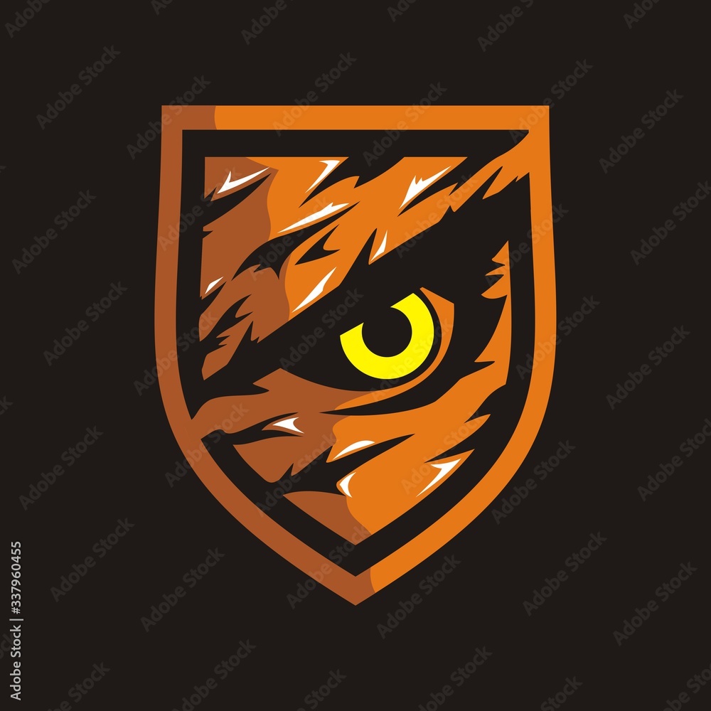 Fototapeta premium eagle eye