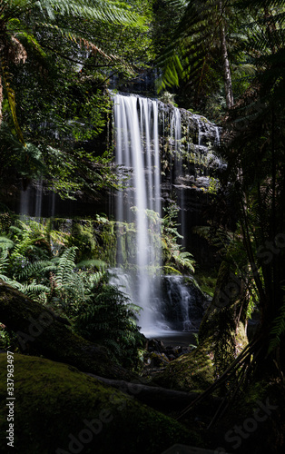 waterfall in the Jungle 