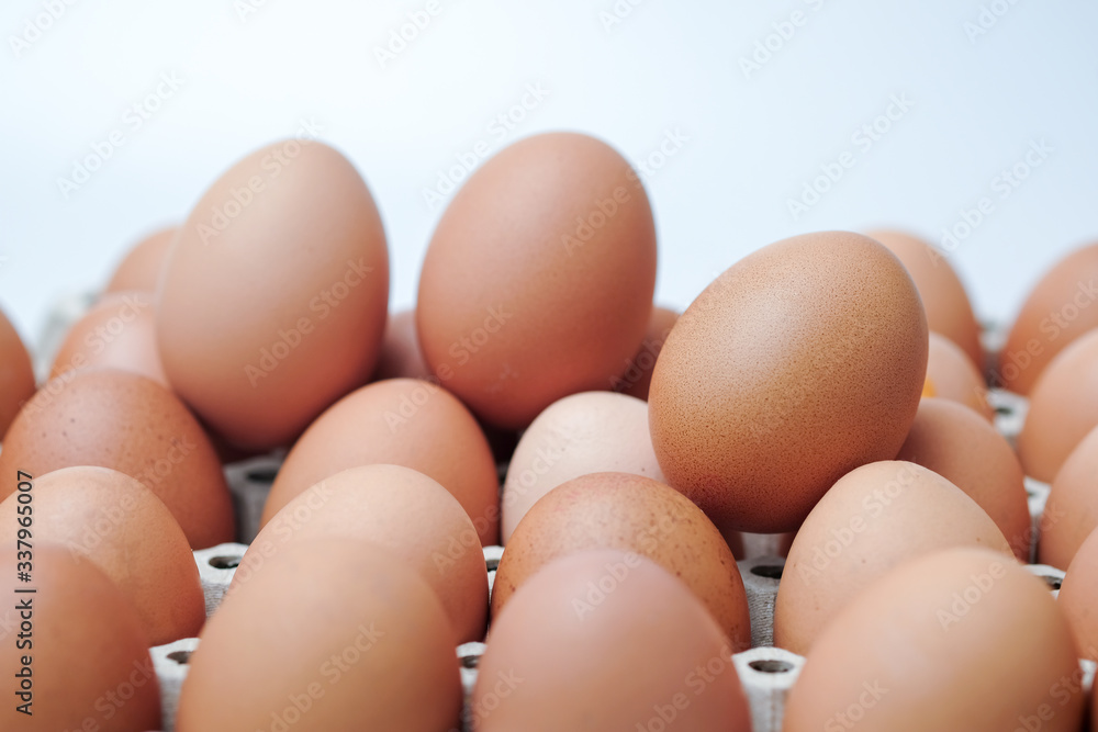 Brown chicken egges on white background. Brown chicken egges on white background.