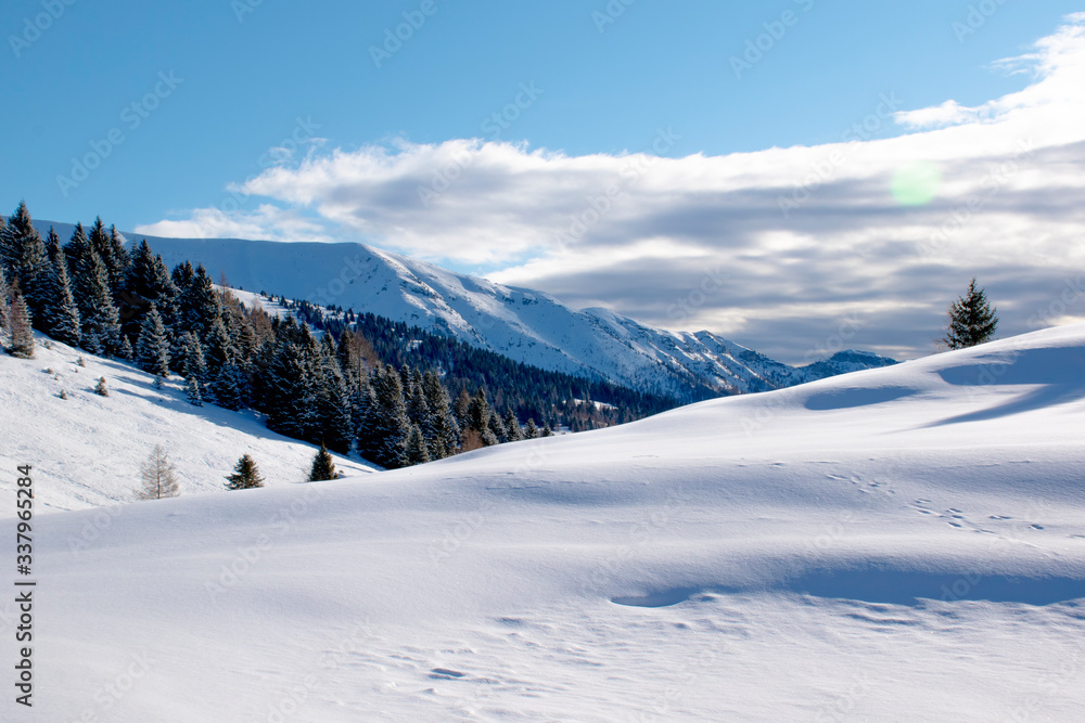 Snowy landscape zero