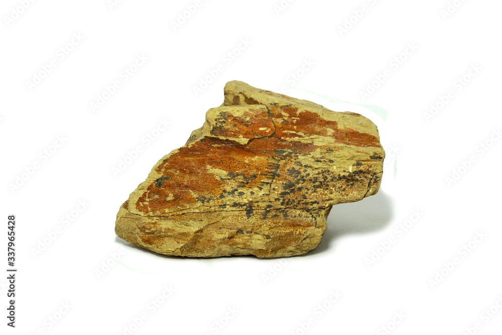 Shale stone isolated on white background. Shale is a sedimentary rock composed of very fine clay particles. Clay forms from the decomposition of the mineral feldspar.