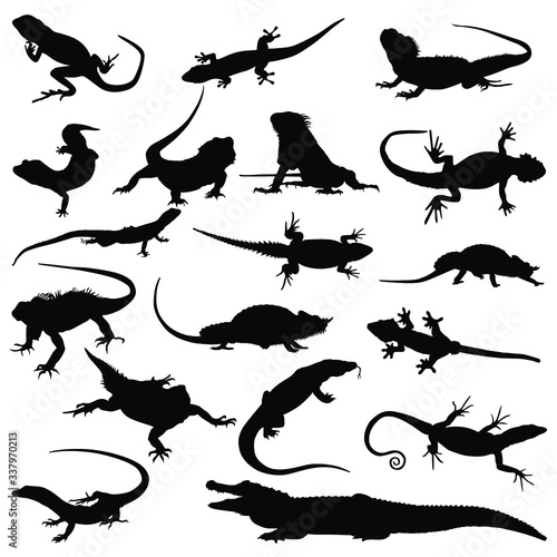 Lizards silhouettes. Set lizards. Collection silhouettes of lizards. Bundle lizards. Vector illustration.