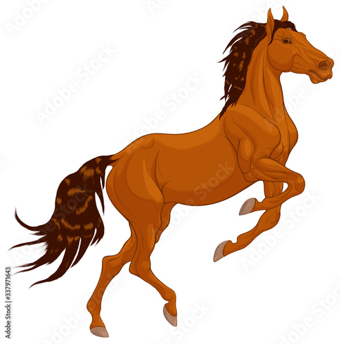 Chestnut horse reared and bent its front legs. Prancing stallion pricked up its ears and stared ahead with dilated nostrils. Vector design element for equestrian goods.