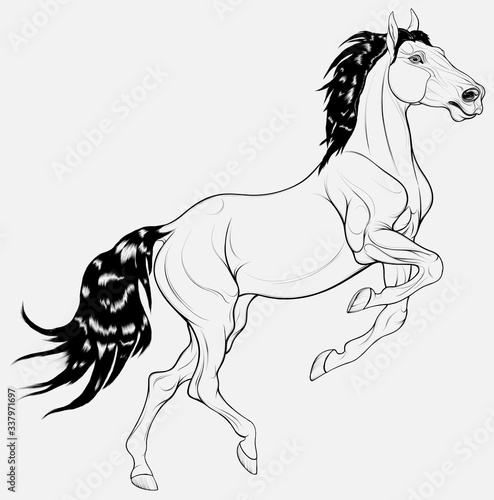Horse reared and bent its front legs. Prancing stallion pricked up its ears and stared ahead with dilated nostrils. Vector design element for coloring books.