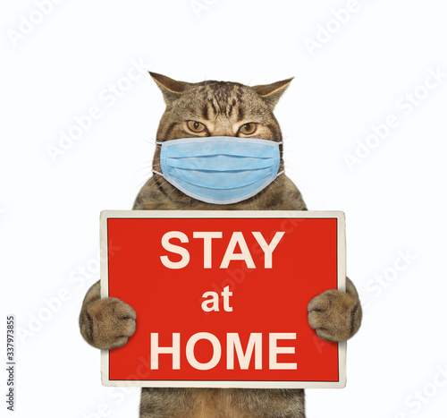 The beige cat in a surgical protection face mask is holding a red sign with the inscription stay at home. Coronavirus. Quarantine. White background. Isolated.