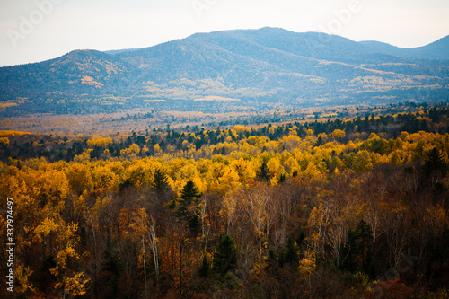 autumn landscape in mountains 