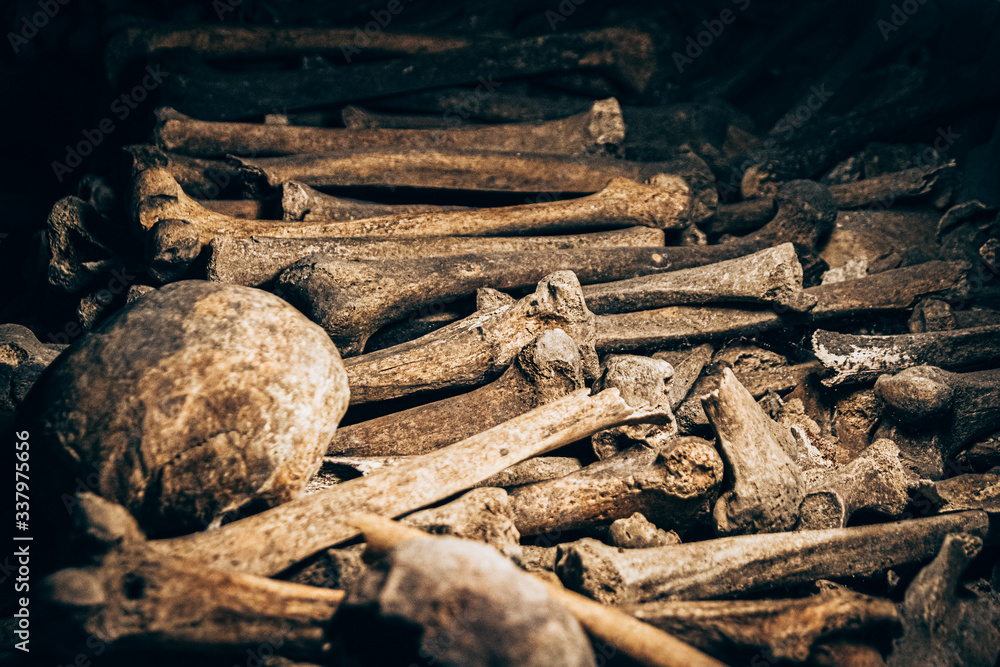 bones and skulls in the catacombs. Killed by war. There are so many bones, mountains of stacked bones bones and skulls in the catacombs. Killed by war. There are so many bones, mountains of stacked bones