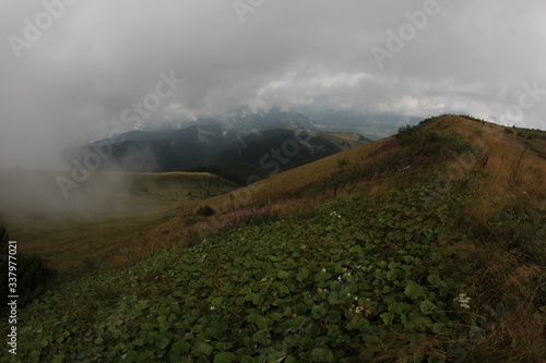 Carpathians, mountains