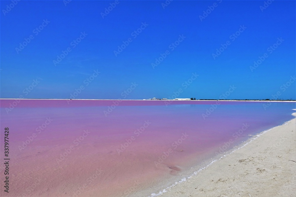 Pink Salt Lake in Mexico. Bright blue sky, pink ozeoa water, white sand. Amazing color contrast.
