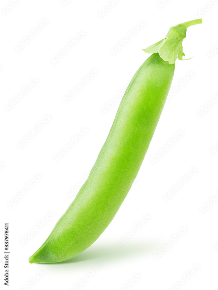 Closeup of whole green pea pod isolated on a white background. Closeup of whole green pea pod isolated on a white background.