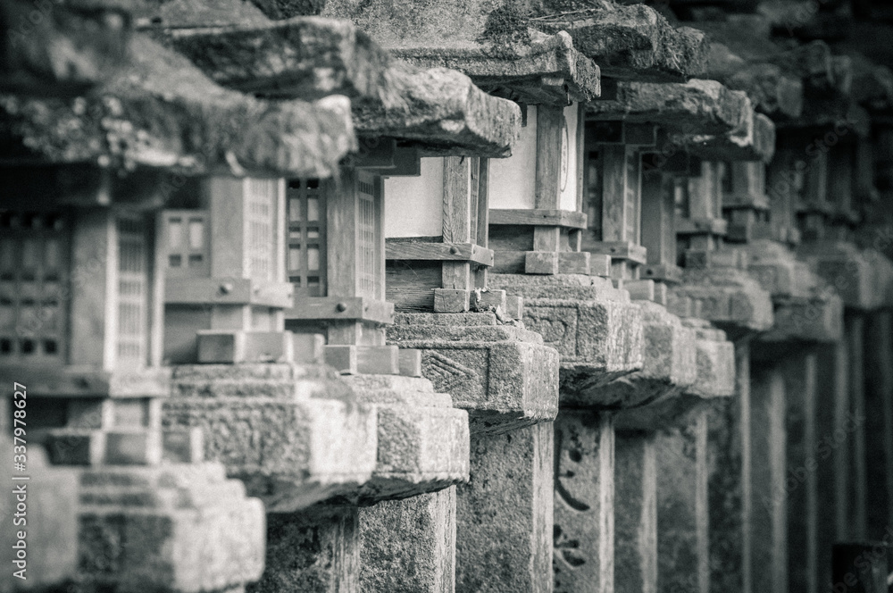 Fototapeta premium Japan