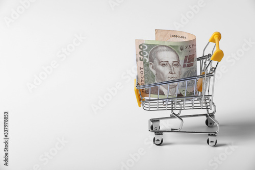 Banknote Ukrainian hryvnia in the shopping cart on shopping isolated on white background. close-up of shopping trolley. business concept with copy space. Purchasing power and living wage concept