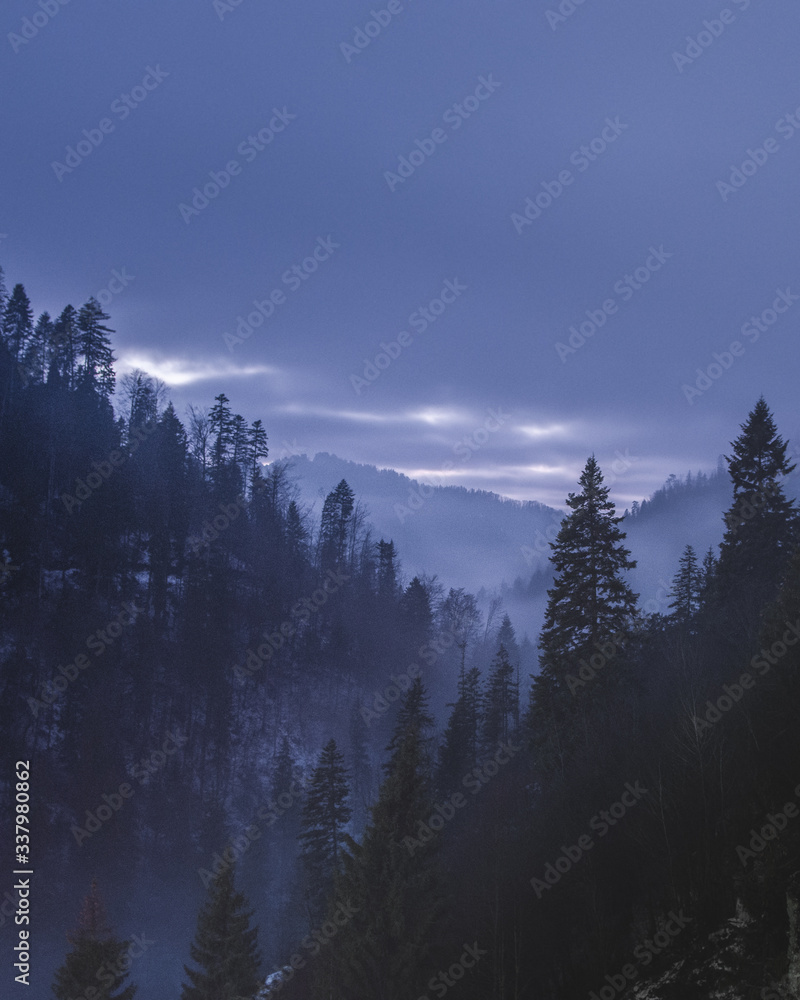 Silhouette Pine Trees In Forest Against Cloudy Sky At Dusk