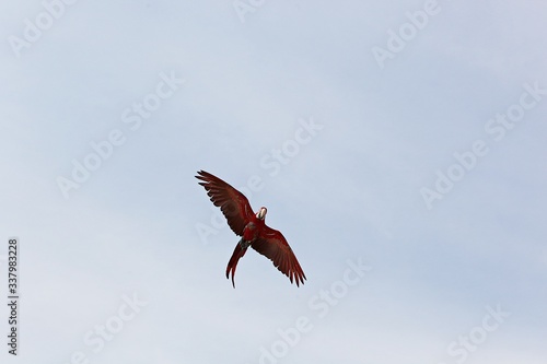 한국 경기도 시흥시 시흥갯골생태공원 입니다 photo