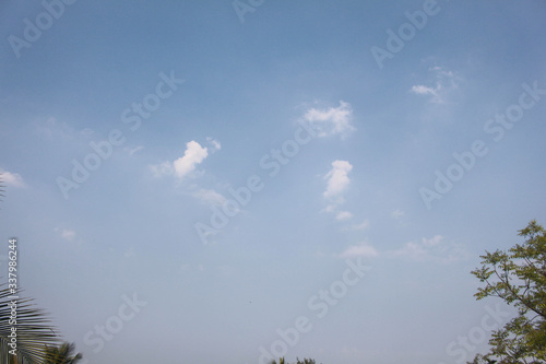 Sky view over green trees captured from rooftop in Bangladesh 