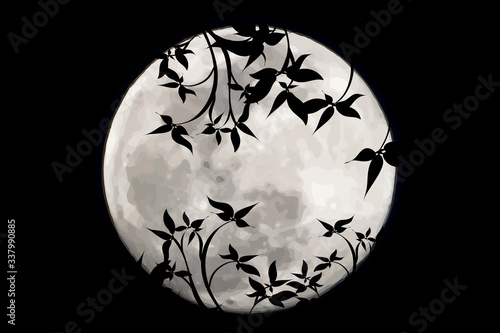Vector silhouette of leaves with moon background. Symbol of night.