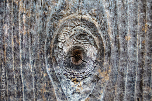 Texture of an old gray wooden board