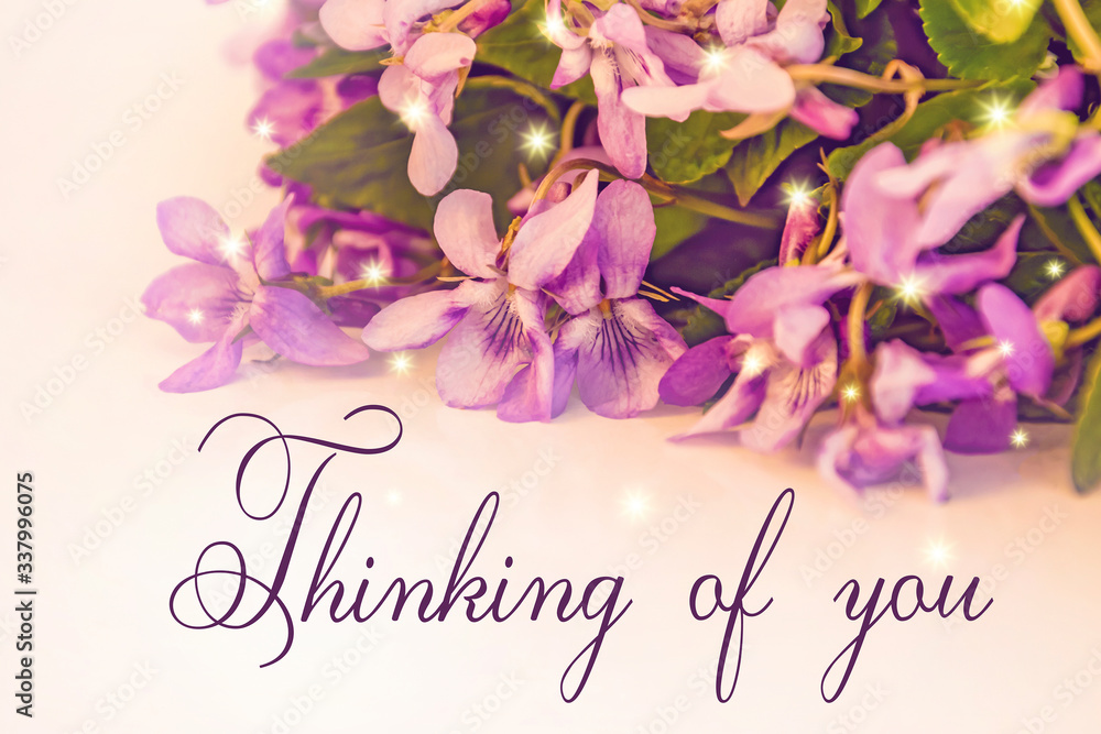 Thinking of you - card. Violet flowers, shiny stars Thinking of you - card. Violet flowers, shiny stars