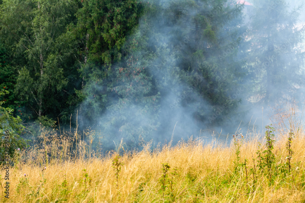 Dense smoke rising from the wildfire in the forest due to drought Dense smoke rising from the wildfire in the forest due to drought