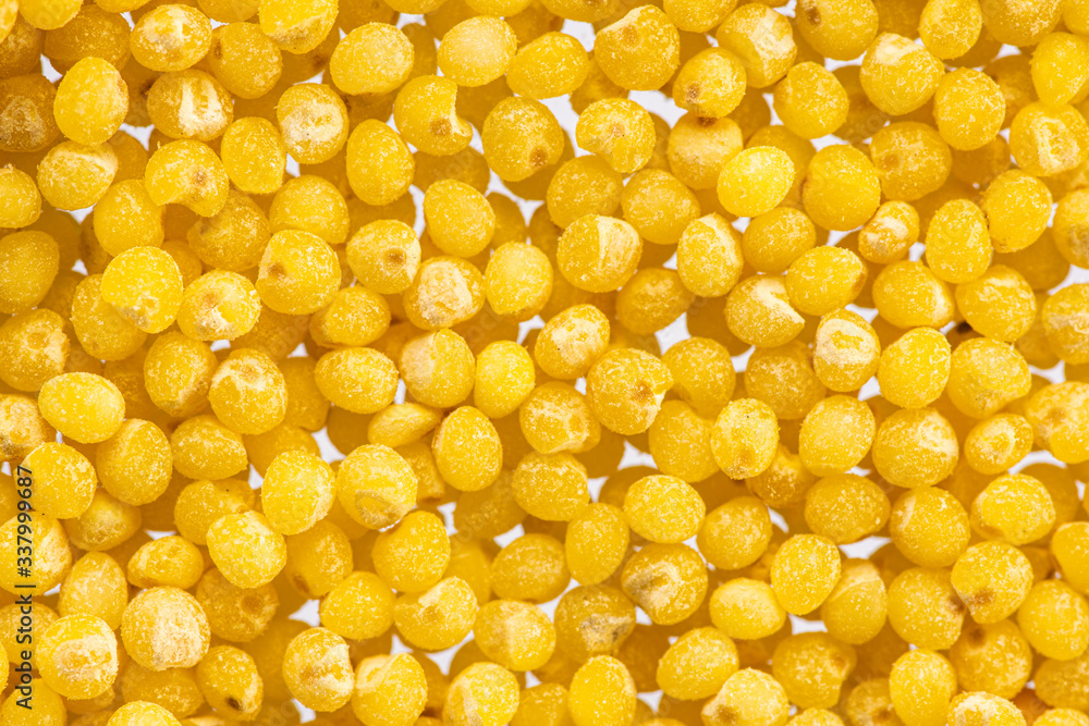 millet round yellow seeds on a white background millet round yellow seeds on a white background