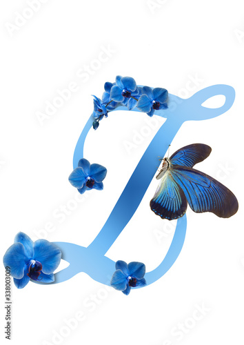 blue letter with orchid and butterfly