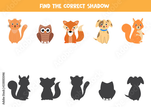 Find the right shadow of animals. Matching game for kids.