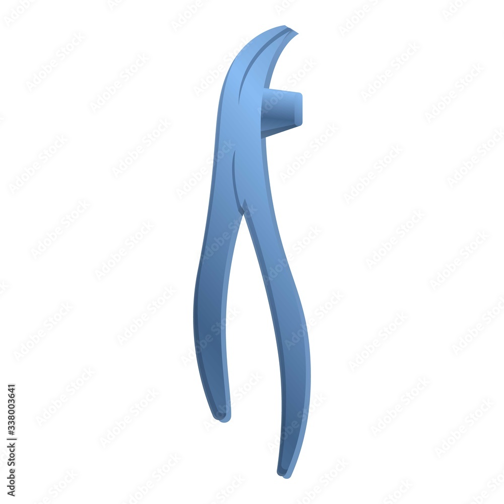 Pliers shoemaker icon. Cartoon of pliers shoemaker vector icon for web design isolated on white background Pliers shoemaker icon. Cartoon of pliers shoemaker vector icon for web design isolated on white background