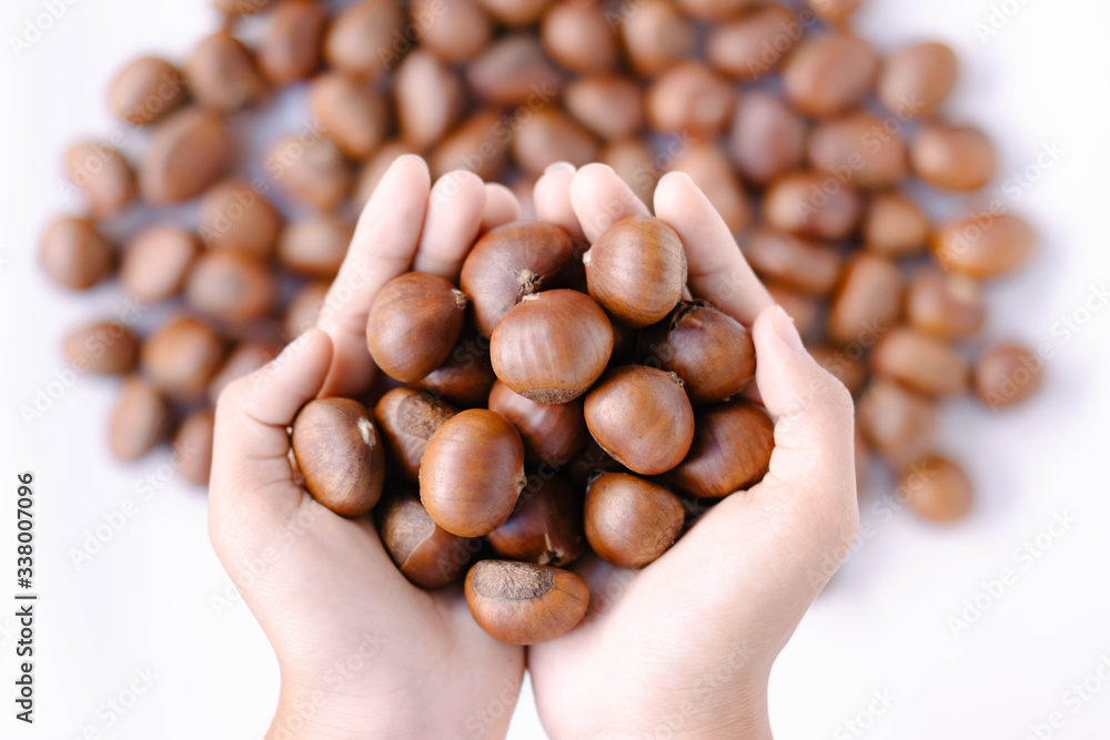 Closeup top view hand holding horse chestnuts on white background, healthy food concept Closeup top view hand holding horse chestnuts on white background, healthy food concept