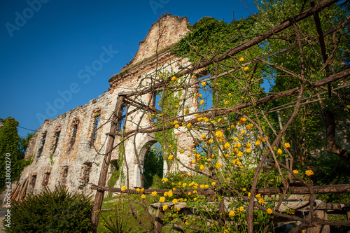 nice yellow flowers in front of the ruins of the local mansion photo