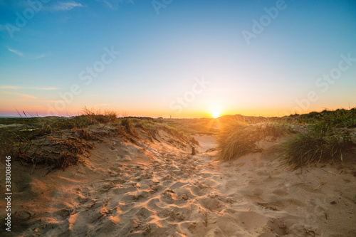 Fototapeta Naklejka Na Ścianę i Meble -  Evening sun over the dunes of Amrum