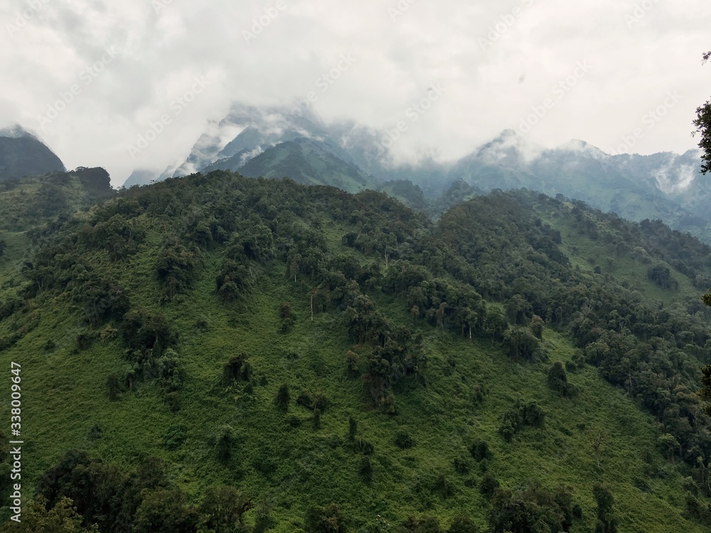 Obraz premium Scenic mountains against a foggy background, The Portal Peaks in the Rwenzori Mountains, Uganda